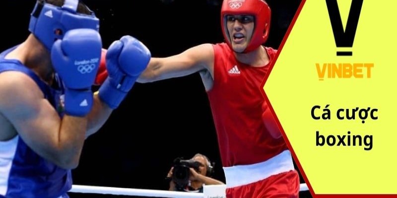 Cá cược boxing XO88 và một số thông tin cho tân thủ 3 Các loại hình cá cược boxing XO88 chất lượng